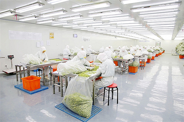 西安凈化工程廠家淺談生物實(shí)驗(yàn)室工程設(shè)計(jì)要求有哪些？